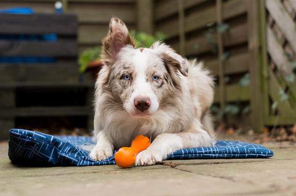 Bei Wind und Wetter, immer dabei