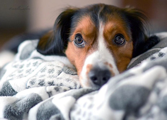 Jetzt wird's liebevoll...