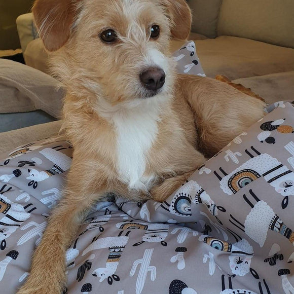 Wir danken Luke sowie vielen Anderen für ihre Teilname an unserer Aktion #dogood !