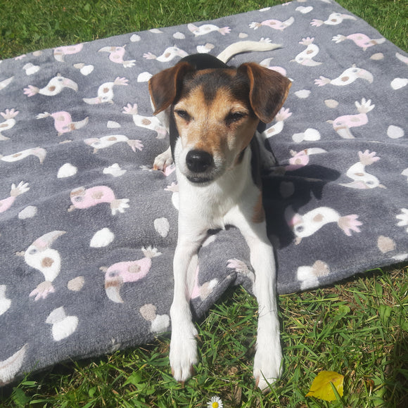 Pia genießt die Sonne!