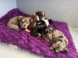 Luxury Faux fur Dark Purple ca. 50x70cm
