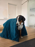 Kuschelfleece Hundedecke nach Wunsch 100x150cm
