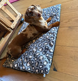 Baumwolldecke Hundedecke "Leo Salbei"