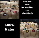 Adventskalender für kleine Hunde