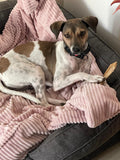 Kuschelfleece Hundedecke Cord, rosa
