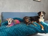 Kuschelfleece Hundedecke nach Wunsch 100x150cm